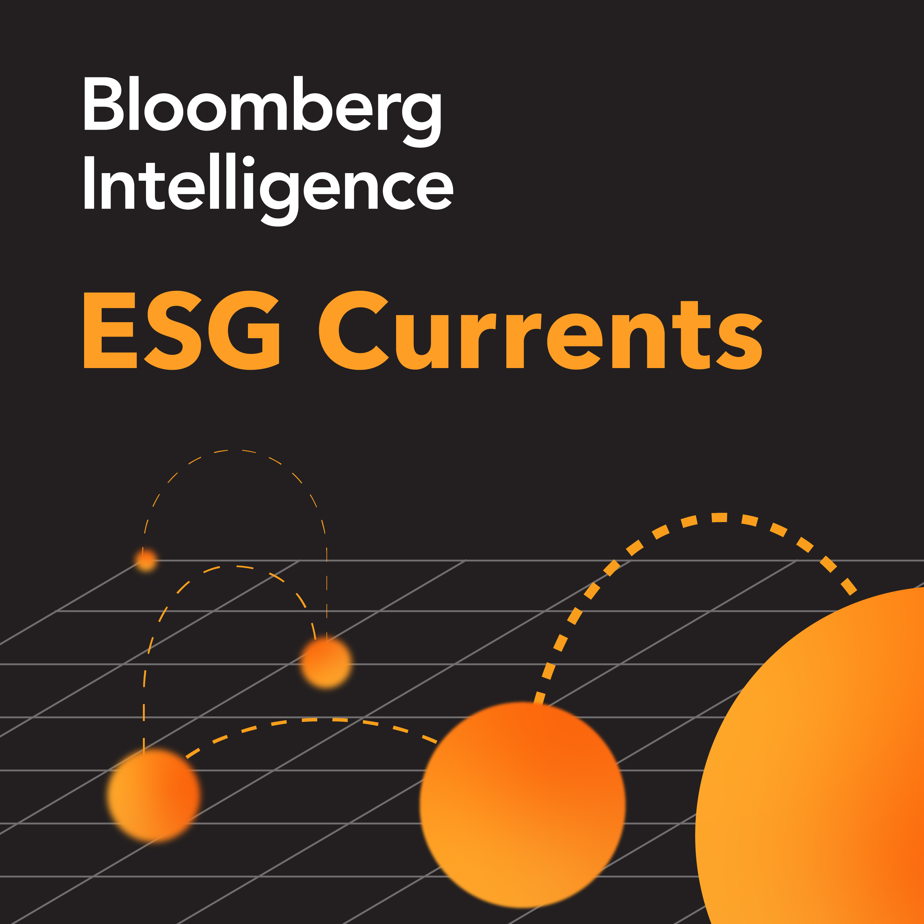 Proactive Transition Resilience Dividend in Emerging Markets - Bloomberg