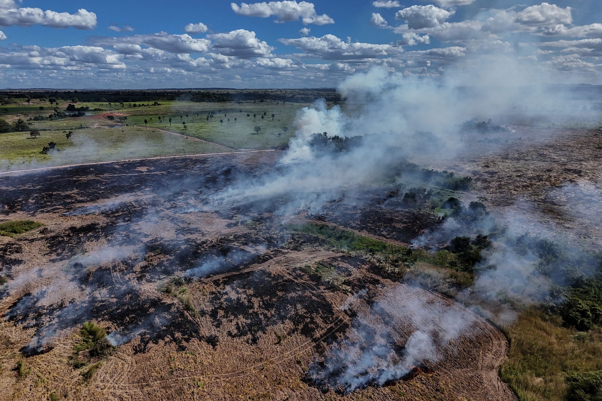 Brésil : la déforestation en Amazonie a atteint son niveau le plus bas en  2025