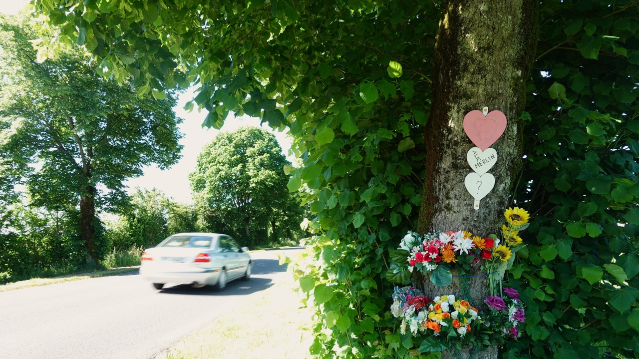Les accidents de la route, "grand facteur de deuil pathologique" pour les  proches, selon un psychiatre