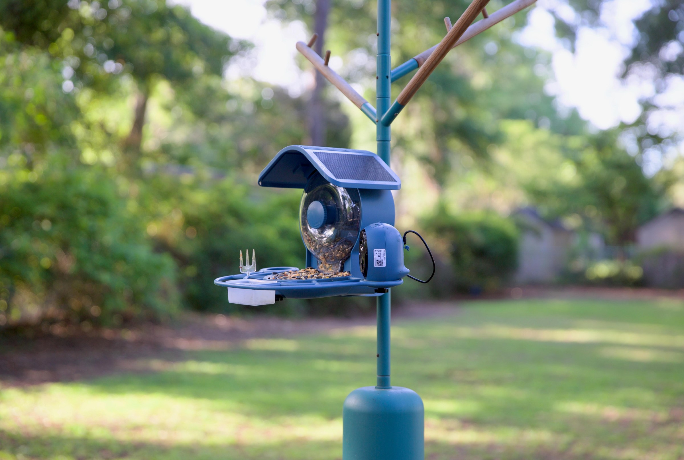 Coolfly's Aura smart bird feeder review: More birds are better | The Verge