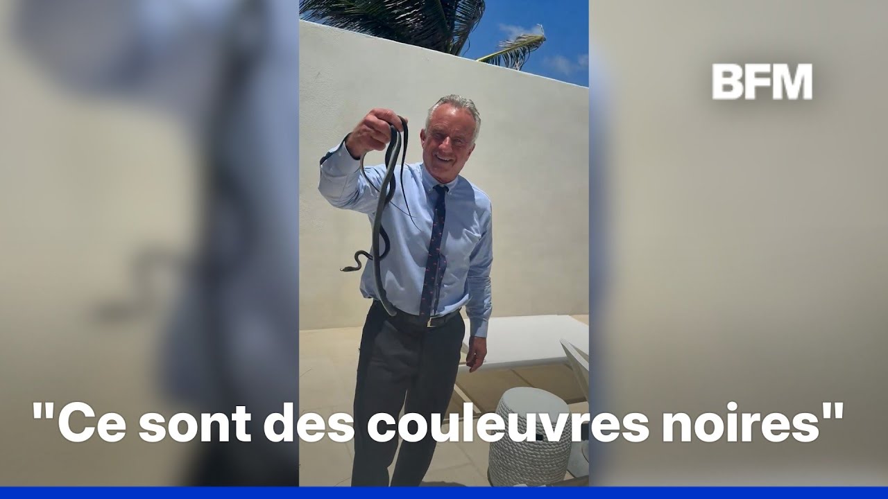 Le ministre de la Santé américain Robert F. Kennedy Jr. attrape deux  serpents et se fait mordre - YouTube