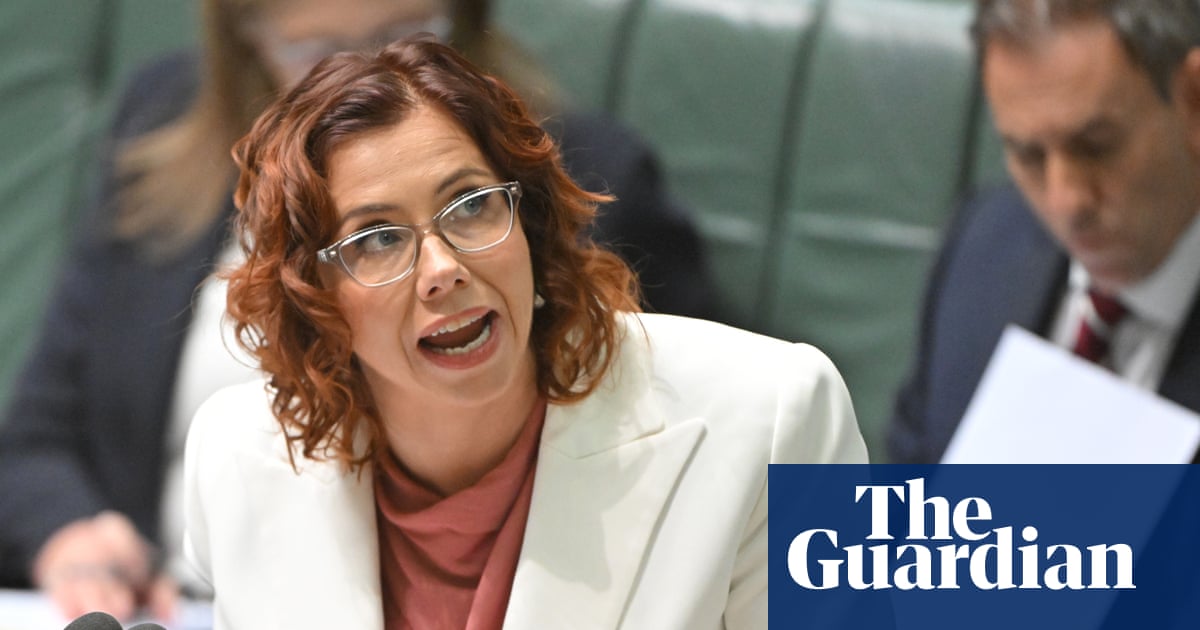 Amanda Rishworth says jobseekers will no longer be forced to submit 'endless'  pointless job applications | Australian politics | The Guardian