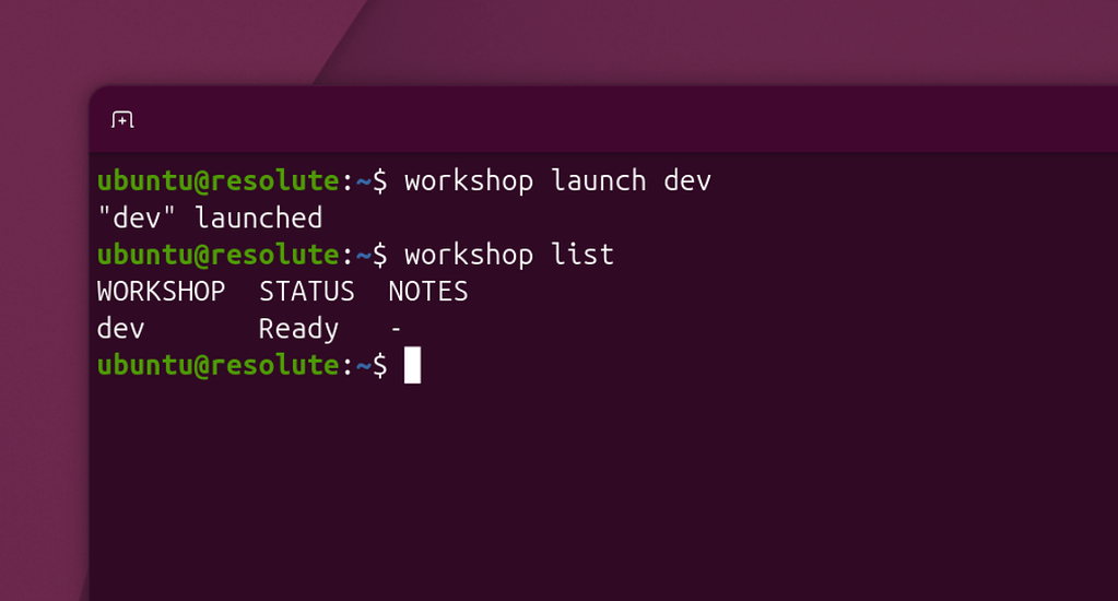 Introducing Workshop: launch sandboxed development environments on Ubuntu  with a single command - Announcements - Ubuntu Community Hub