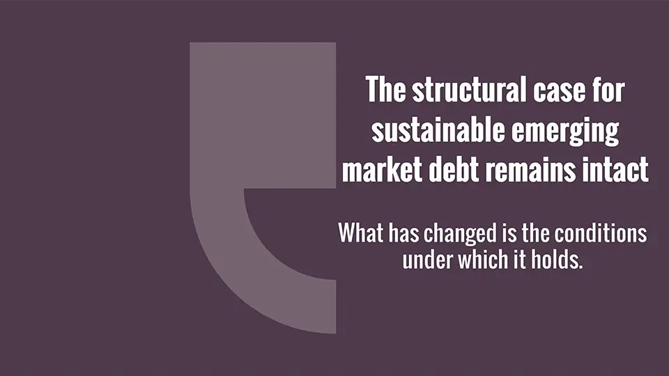 Emerging Market Sustainable Debt in 2026: Quality, Dispersion, and the Role  of Anchoring Issuers - News