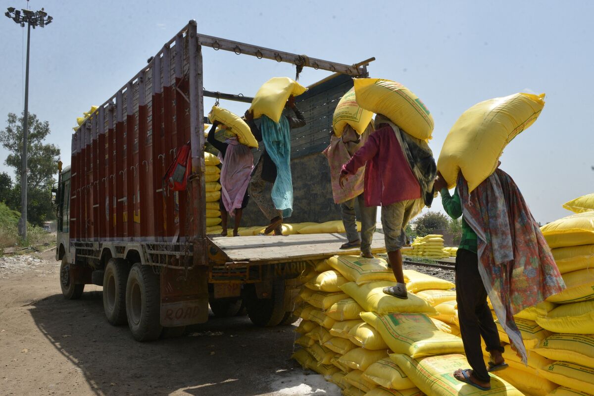 India Issues Tender to Import Fertilizer Ahead of Monsoon Sowing - Bloomberg