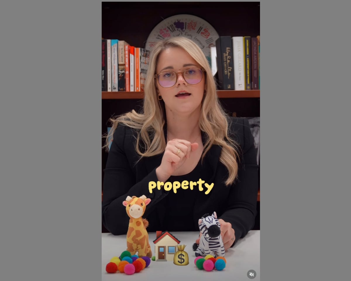 Soft toys, memes and a movie villain: Labor tries to simplify the message  but selling a budget isn't child's play | Australian politics | The Guardian
