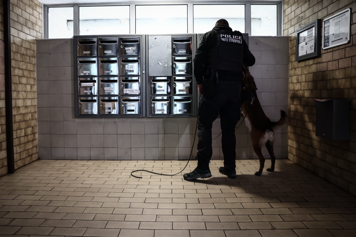 Loi narcotrafic : quel bilan, un an après son entrée en vigueur ?