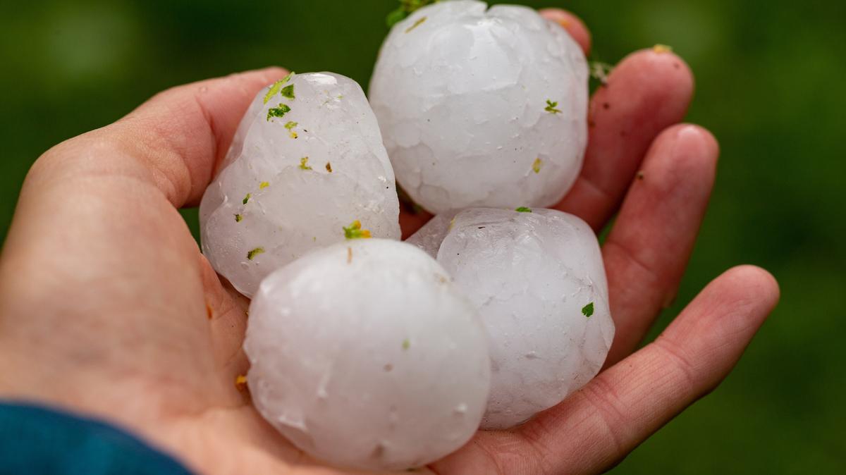 À cause du réchauffement climatique, les gros grêlons sont de plus en plus  fréquents