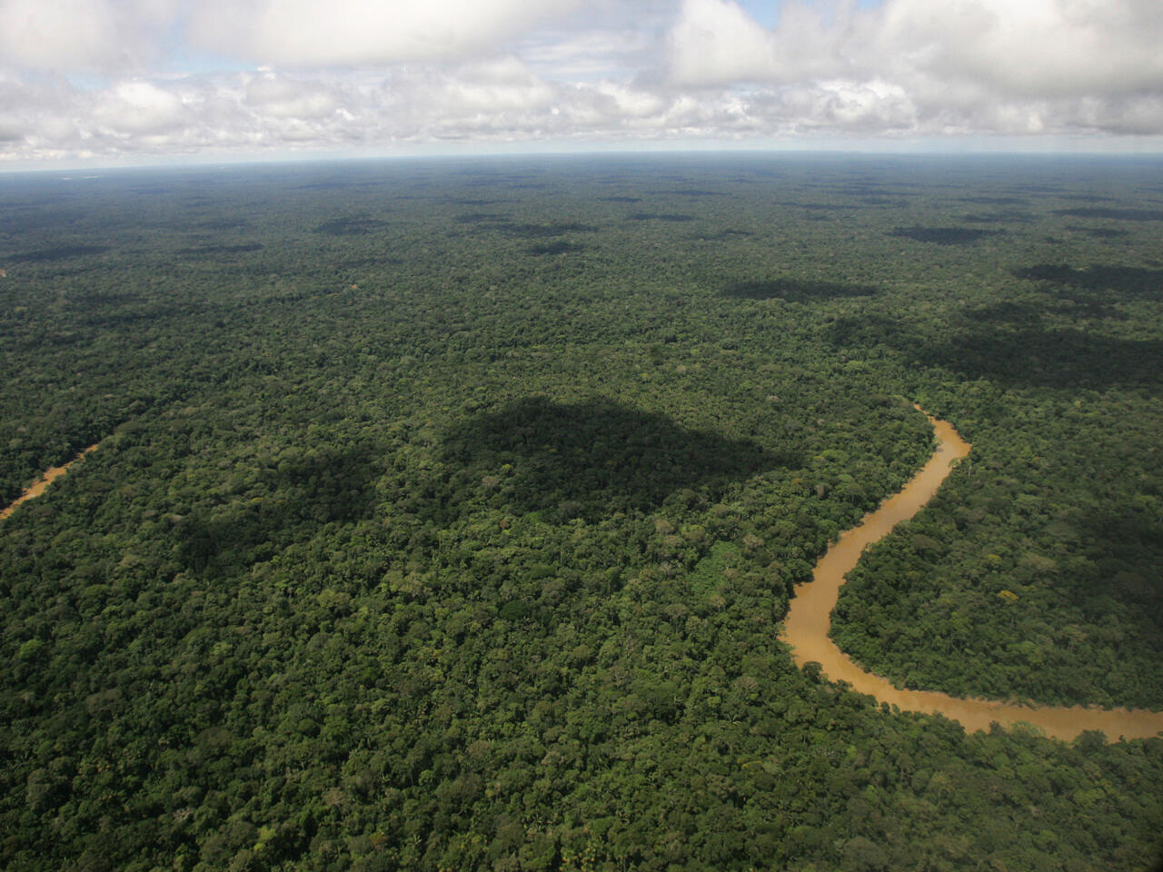 Brésil: Lula défend l'exploration pétrolière en Amazonie malgré les  critiques des écologistes - RFI
