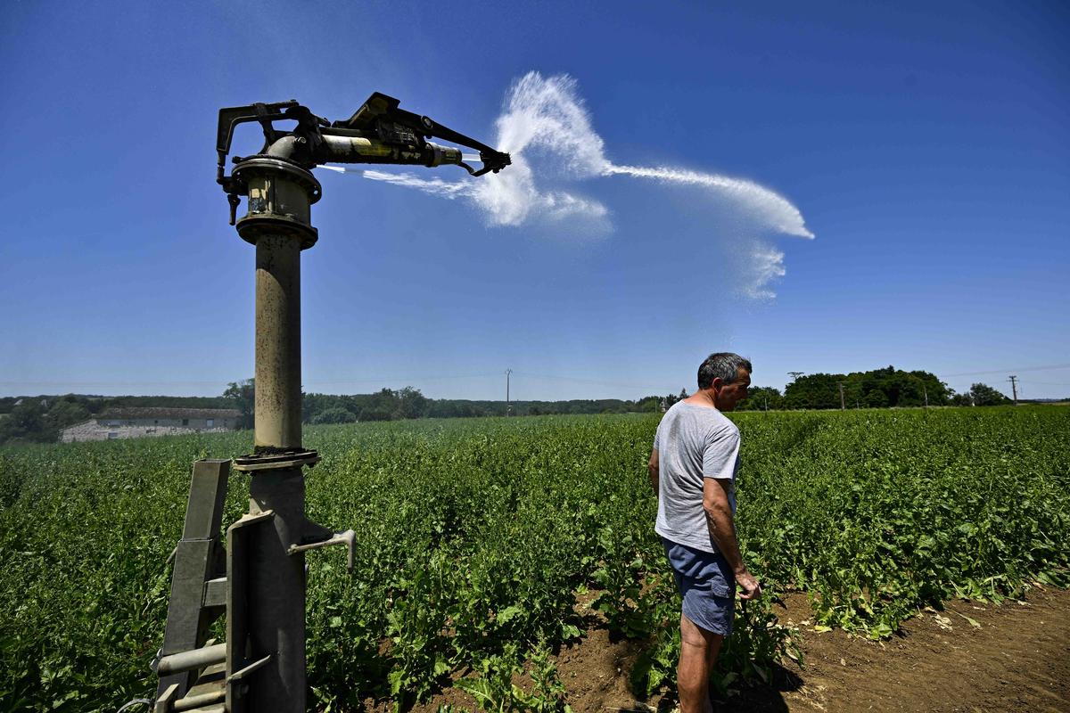 Pic de chaleur. « Des stress vont forcément se produire » : les  agriculteurs de Lot-et-Garonne inquiets