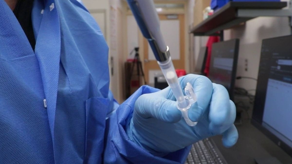 Un bébé sur-mesure ? Aux États-Unis, ces nouvelles pratiques de sélection d'embryons  qui questionnent – franceinfo