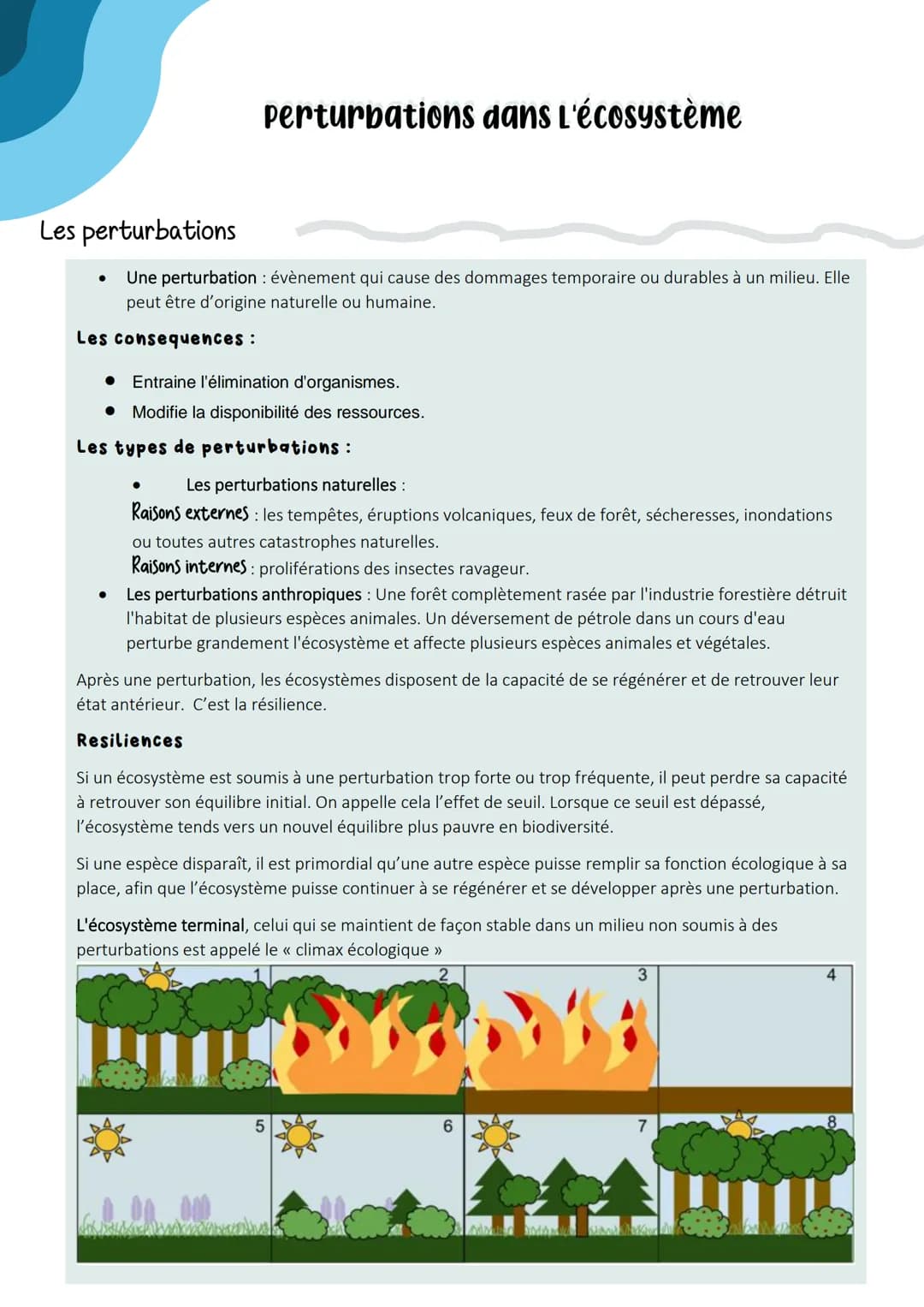 image?url=https://content-eu-central-1.knowunity.com/CONTENT/sCzrLbcncDsIXnaejTZp_image_page_1.webp&w=2048&q=75