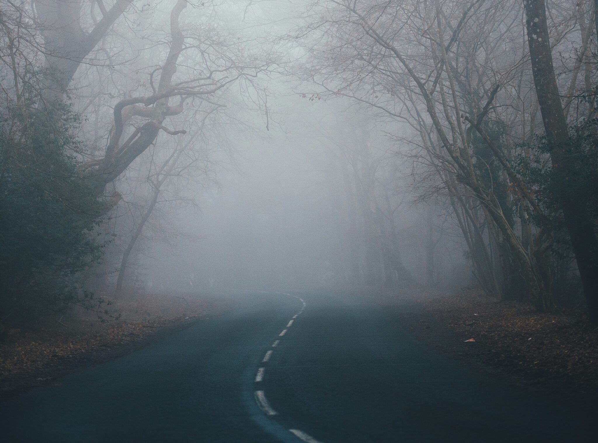 Elles sont un million par millilitre : la preuve que le brouillard est un  océan bactérien