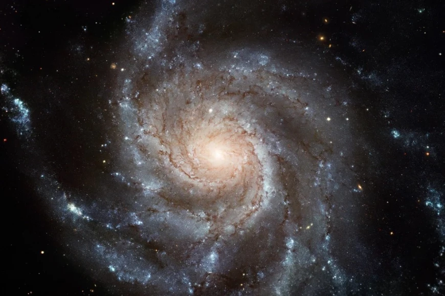 Le mystère d'une ancienne galaxie engloutie par la Voie lactée enfin élucidé  ?