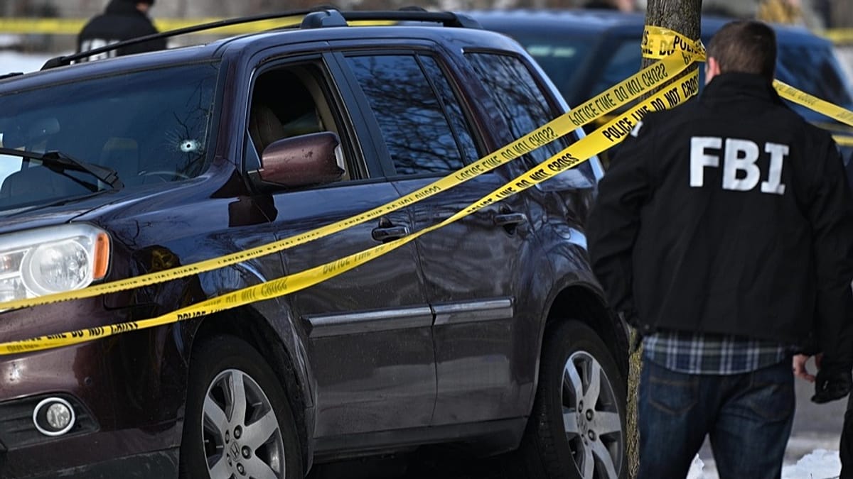 Une femme abattue par un agent de l'ICE lors d'un raid à Minneapolis |  Euronews