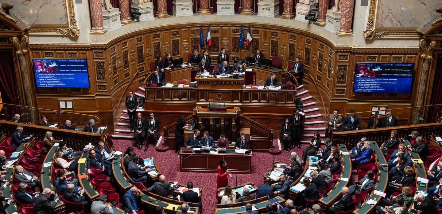Sénatoriales 2026 : le RN veut créer un groupe au Sénat grâce à ses élus  locaux - l'Opinion