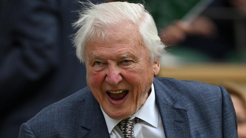 L'icône britannique David Attenborough, la voix de la nature, fête ses 100  ans