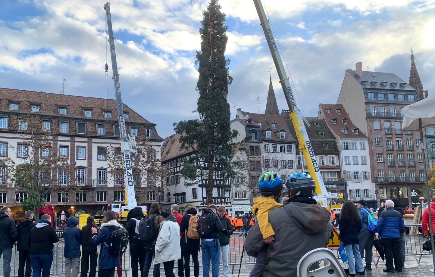 Que les fêtes commencent… Le grand sapin de Noël est arrivé à Strasbourg