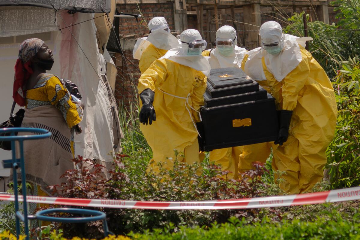 Ebola en RDC : l'OMS redoute une propagation nationale, l'épidémie gagne du  terrain -