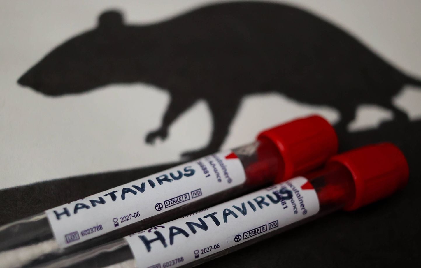 Hantavirus : Attention aux applications qui prétendent détecter le virus