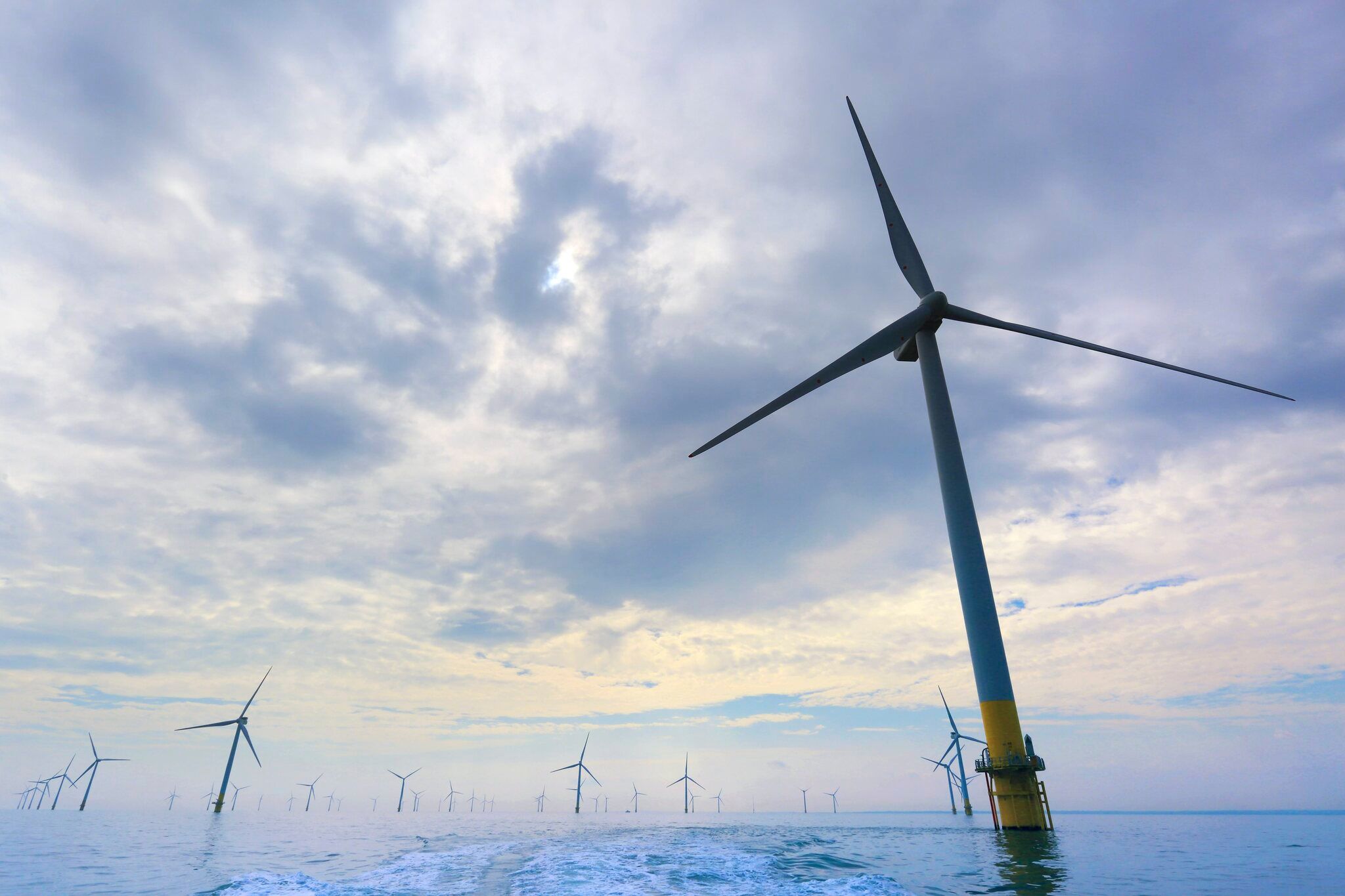 États-Unis : TotalEnergies renonce à l'éolien face à l'opposition de  l'administration Trump