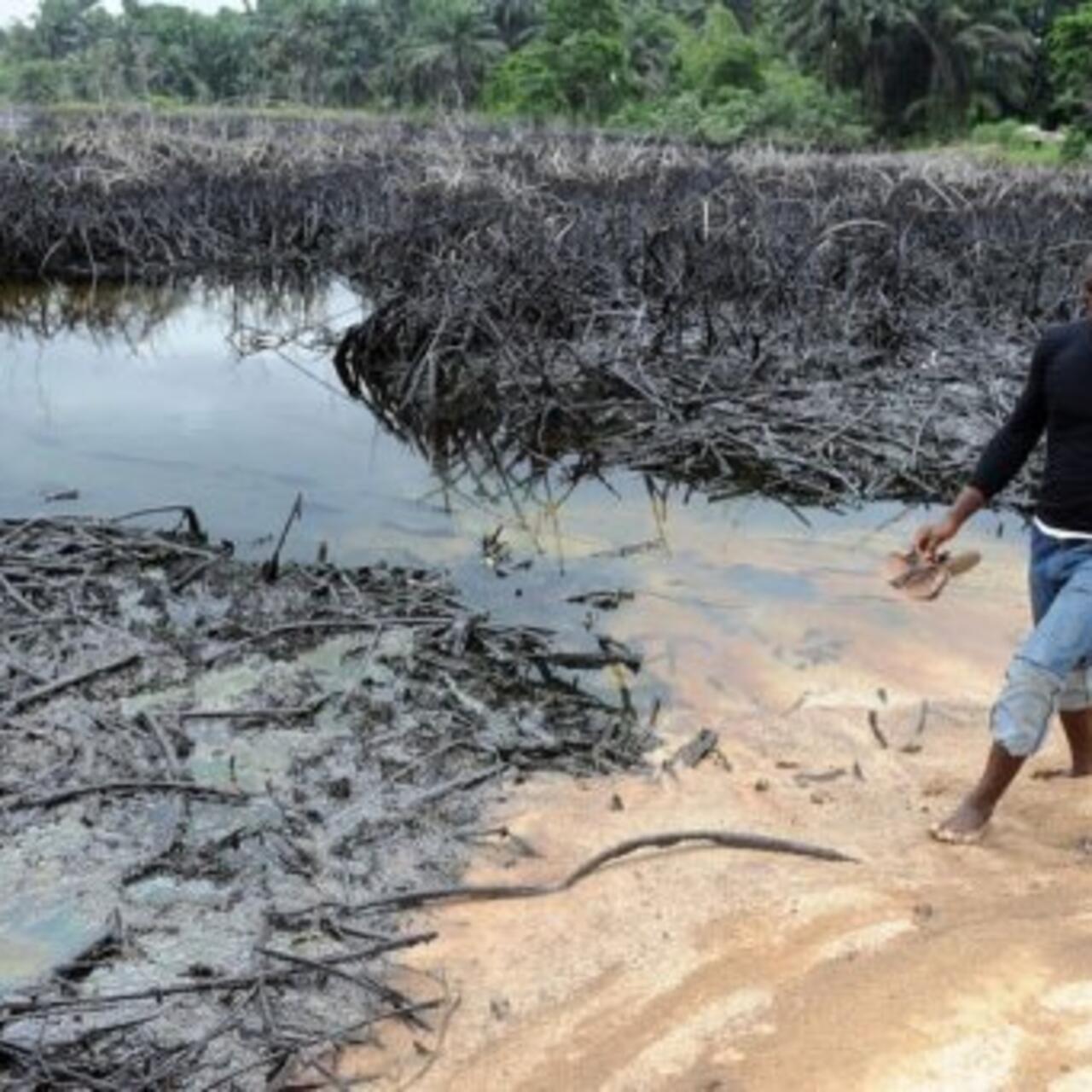 L'ONU estime qu'il faudrait 25 à 30 ans pour venir à bout de la pollution  pétrolière - France 24