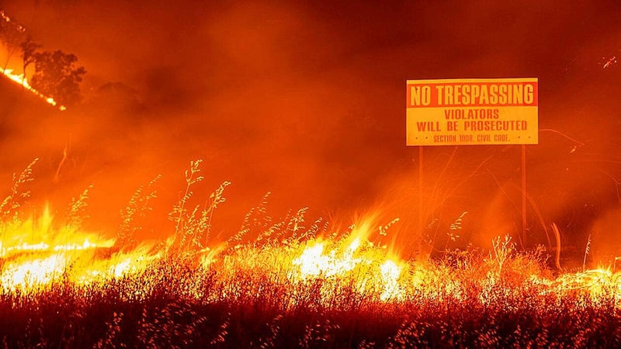 États-Unis. Ils tirent un feu d'artifice pour révéler le sexe de leur bébé  et provoquent un incendie