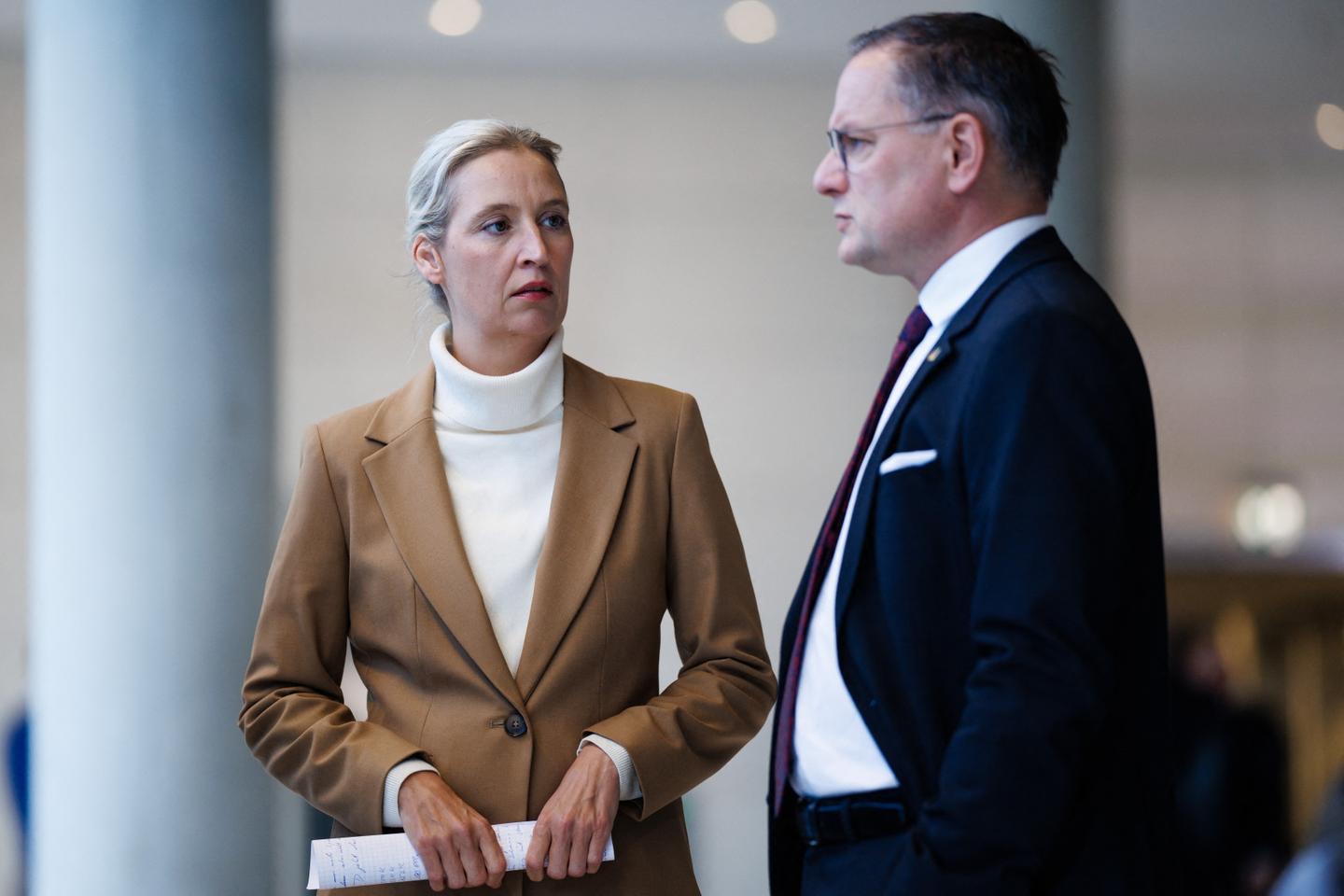En Allemagne, l'AfD divisée face à la Russie