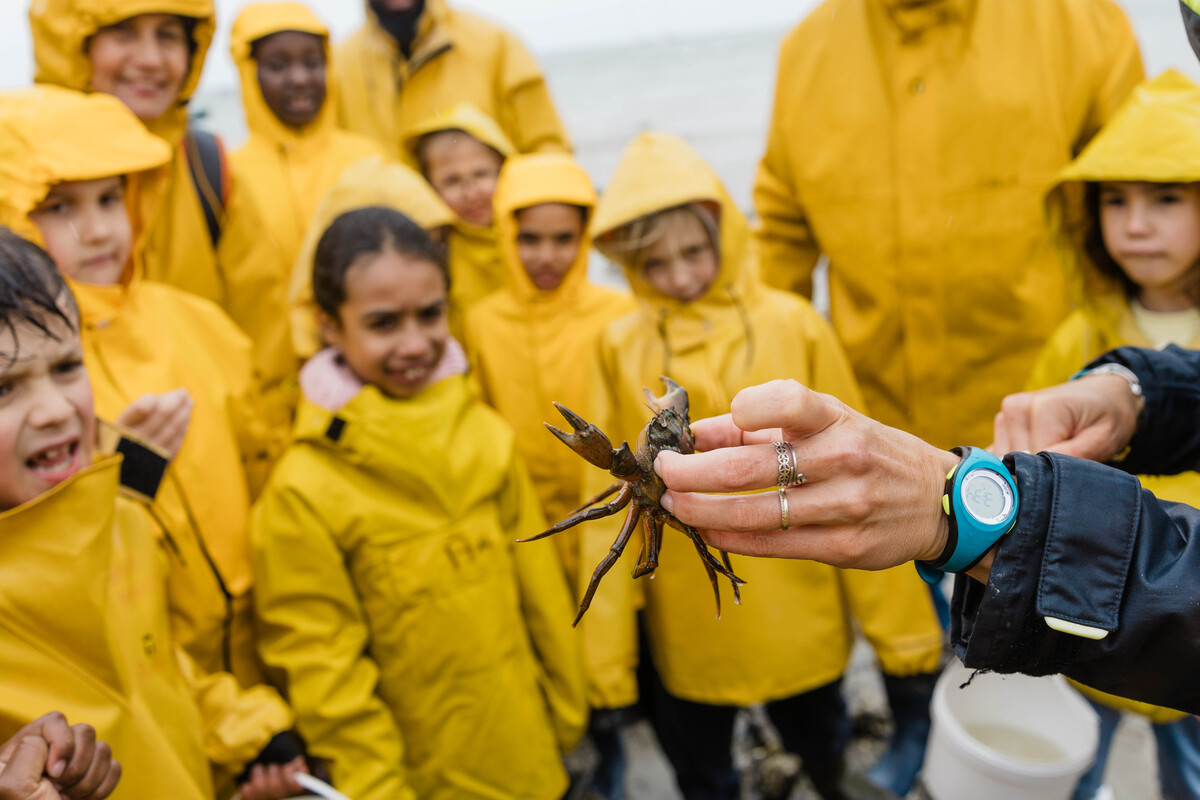 Ces enfants n'ont parfois jamais touché de crabe » : un historique centre  de classe de mer pourrait fermer