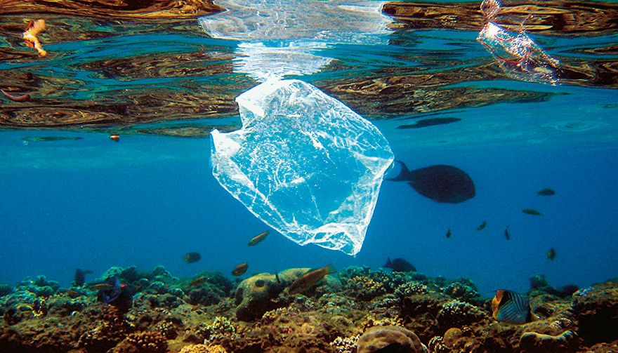 Le plastique recouvre la planète - Observatoire des aliments