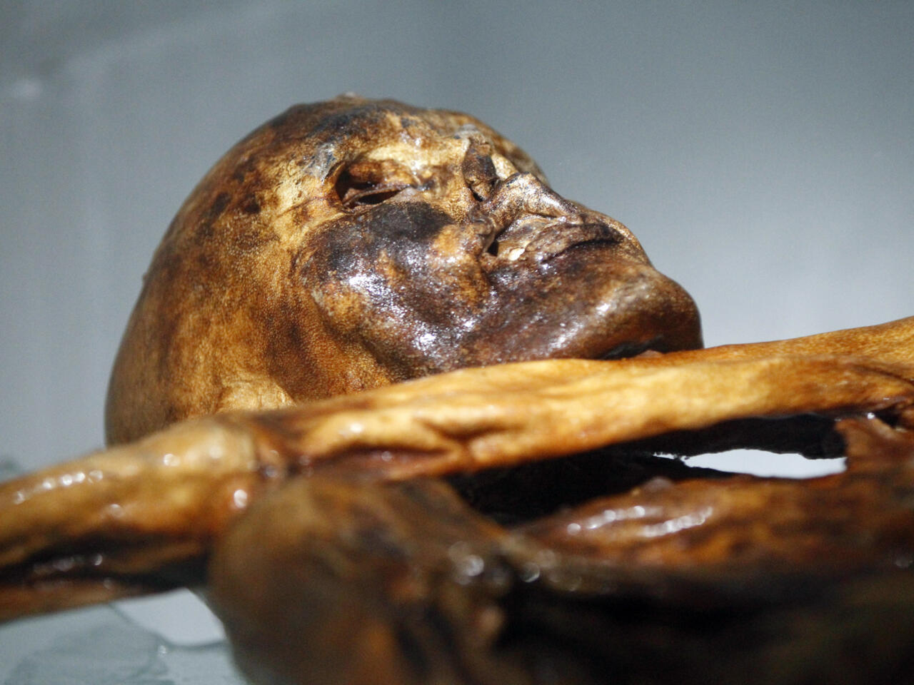 Des chercheurs trouvent de la levure dans les entrailles d'Ötzi... et en  font du pain