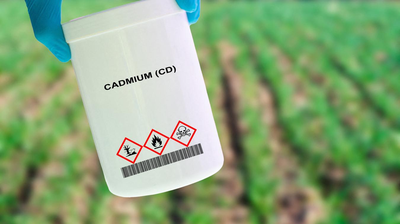 Cadmium : l'Assemblée nationale adopte un texte pour limiter l'exposition à  ce métal lourd toxique, contre l'avis du gouvernement - La Voix du Nord