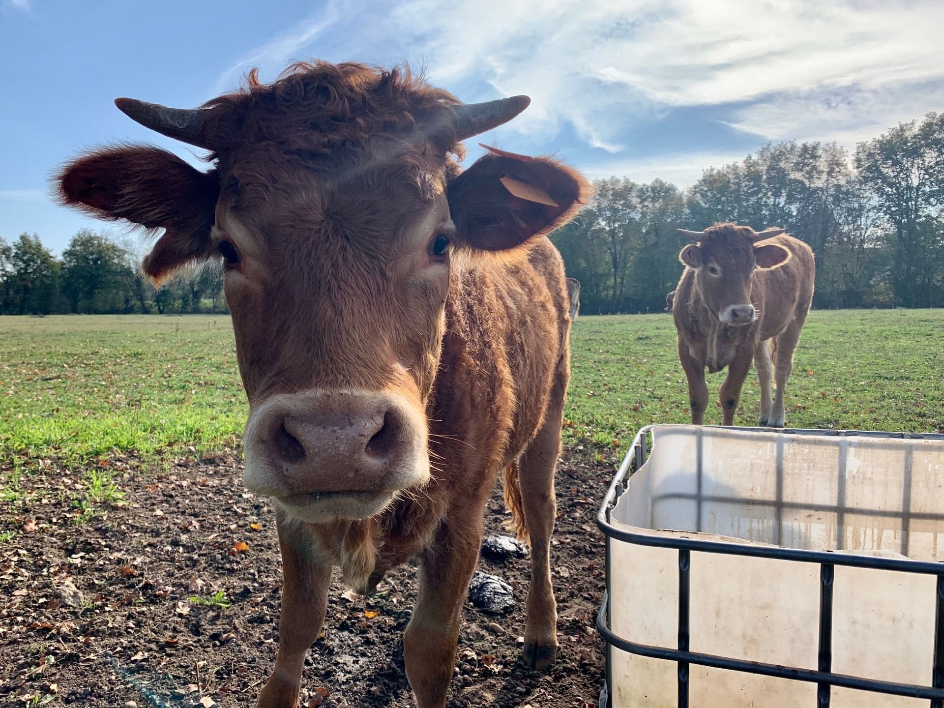À Bourg-en-Bresse, un congrès national des Jeunes Agriculteurs très  courtisés à un an de l'élection présidentielle dans un contexte  international tendu