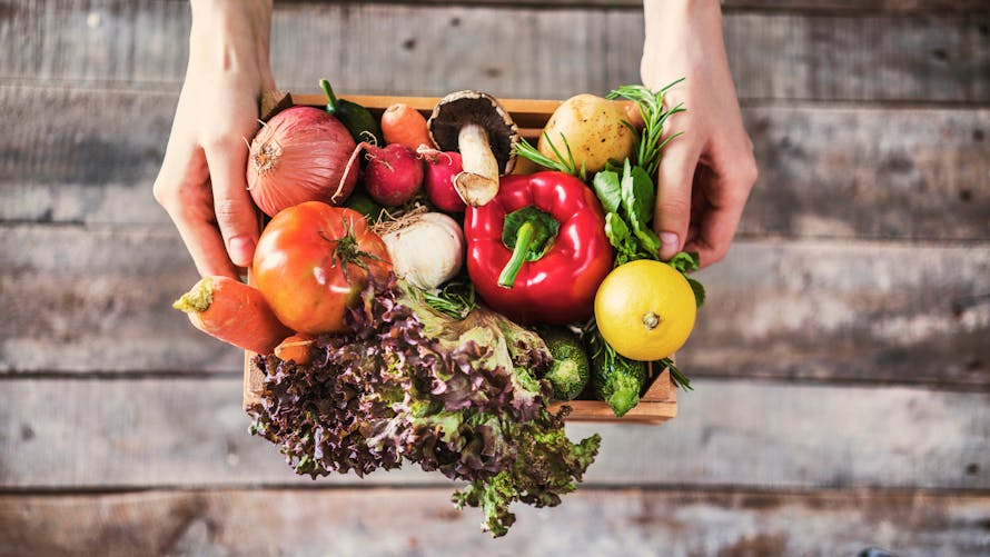 Cancer du sein : manger végétarien (et sain) réduit le risque à la ménopause  | Santé Magazine