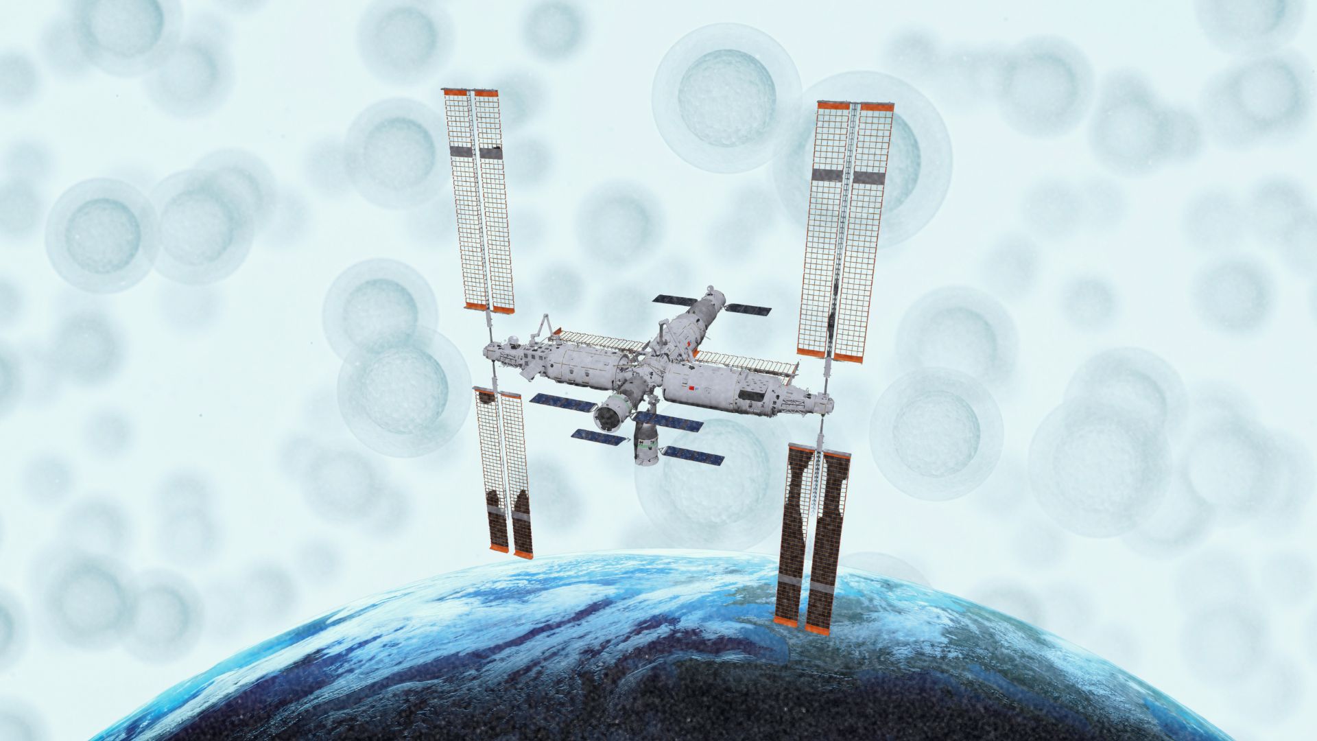 La Chine vient d'envoyer des embryons « humains » dans l'espace, et ce n'est  pas de la science-fiction - Numerama