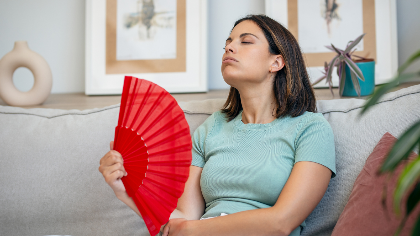 Chaleur en France : les meilleurs ventilateurs et climatiseurs en promo en  ce moment chez Amazon ❄️