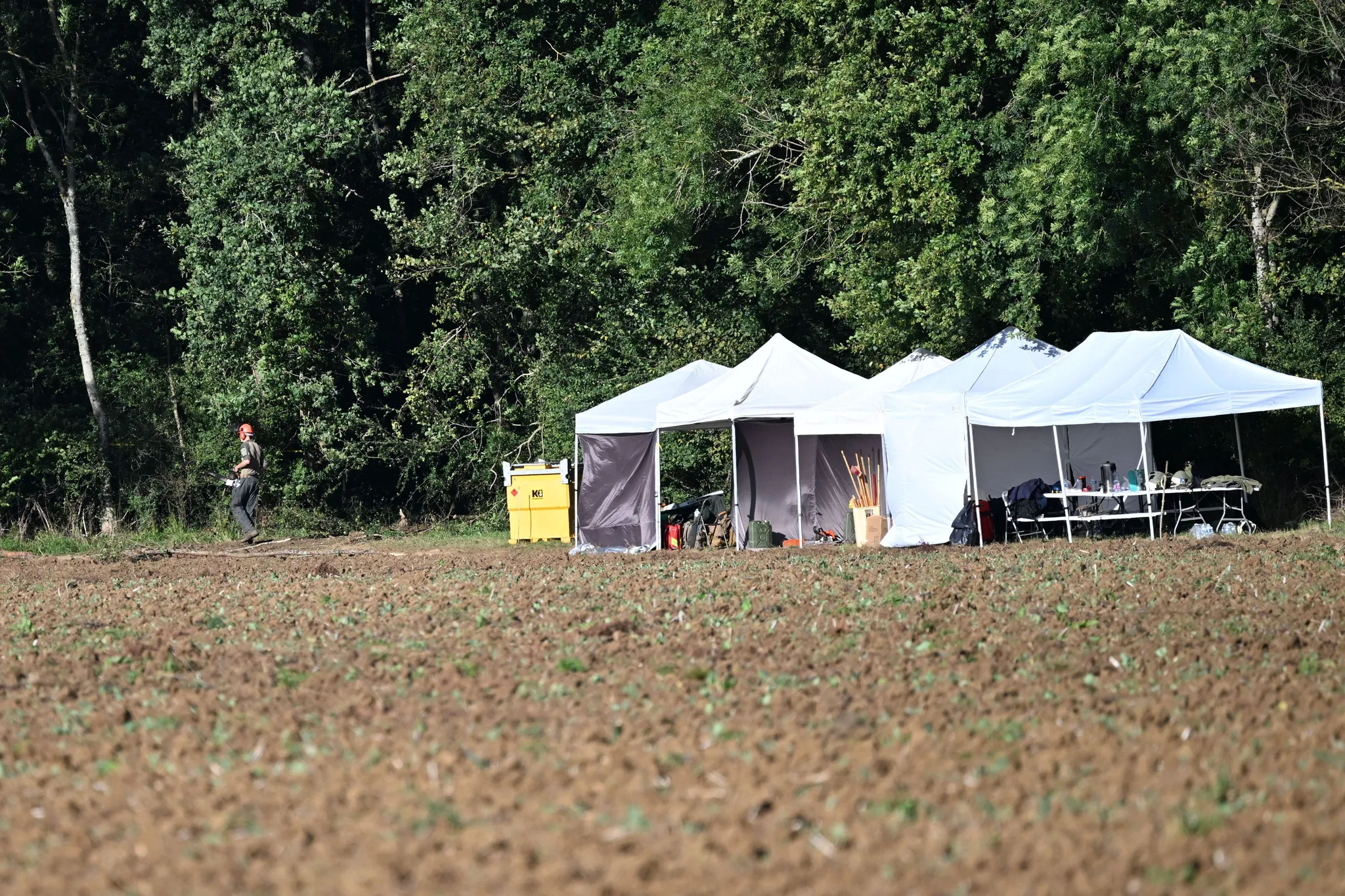 Nouvelles fouilles dans le "cimetière" d'Émile Louis : "Indispensable" pour  des enfants qui se sont crus "abandonnés" | franceinfo