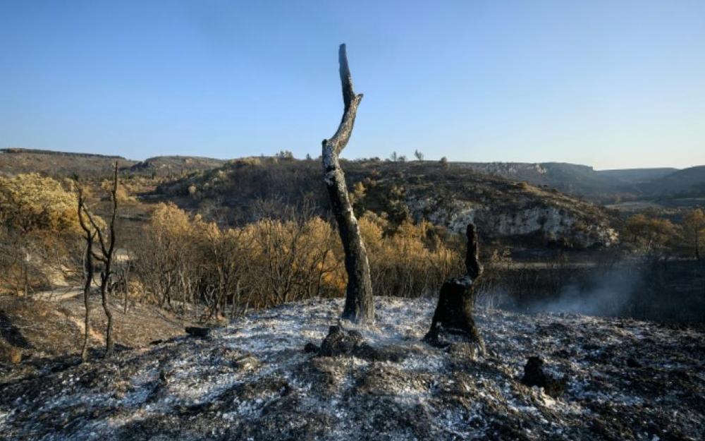 Incendie dans l'Aude : trois agents de l'ONF placés en garde-à-vue un an  après le feu qui avait fait un mort et détruit 16 000 hectares
