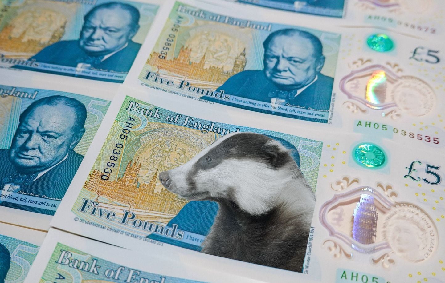 Royaume-Uni : Faut-il remplacer Churchill par un blaireau sur les billets  de banque ?