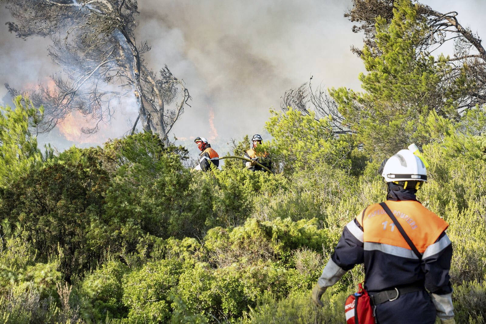 Aude. Incendie des Corbières : une cigarette à l'origine du sinistre ?  Trois agents de l'ONF en garde à vue