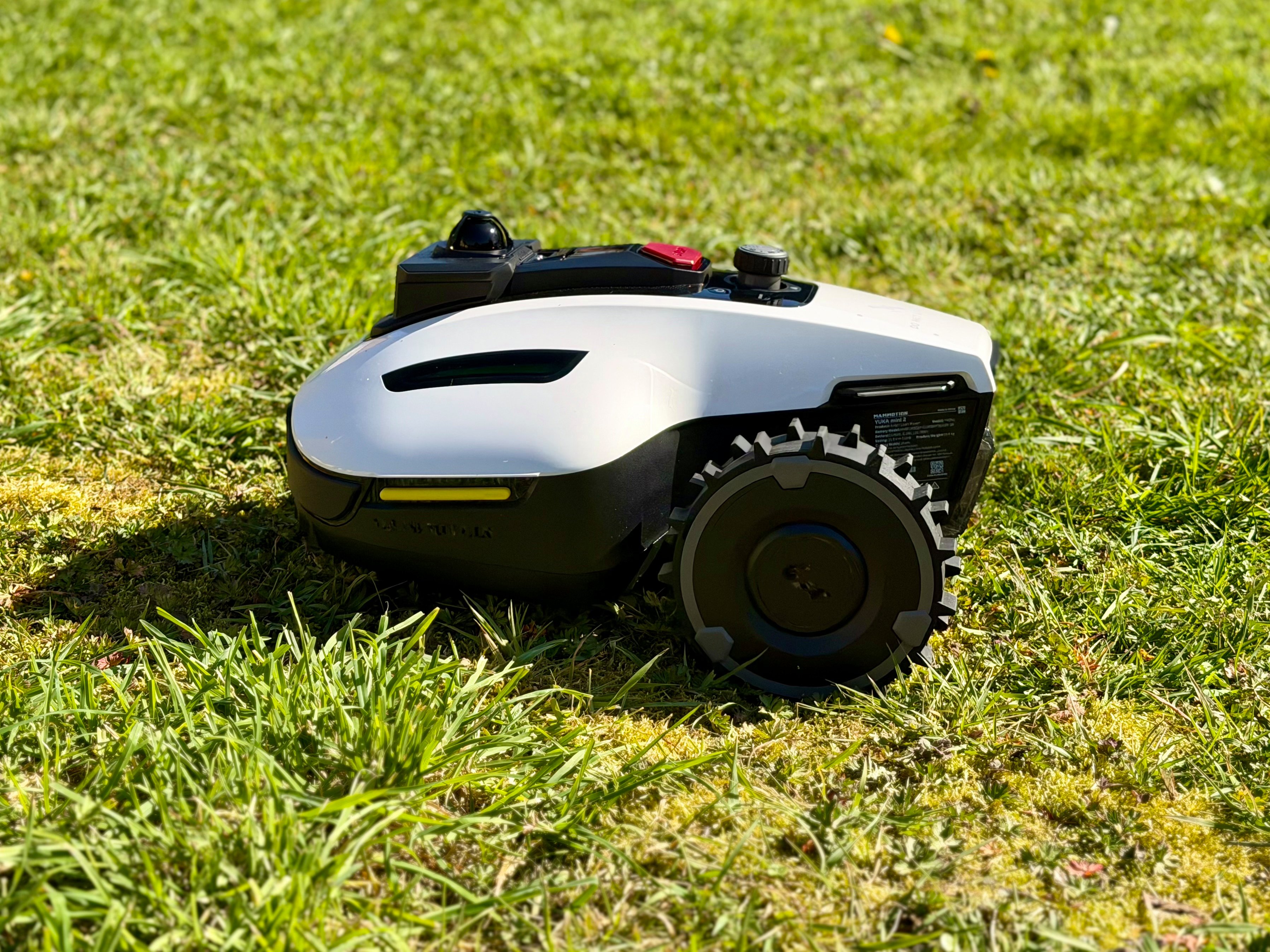 Meilleur robot tondeuse 2026 : comparatif de 6 modèles testés (mai 2026)
