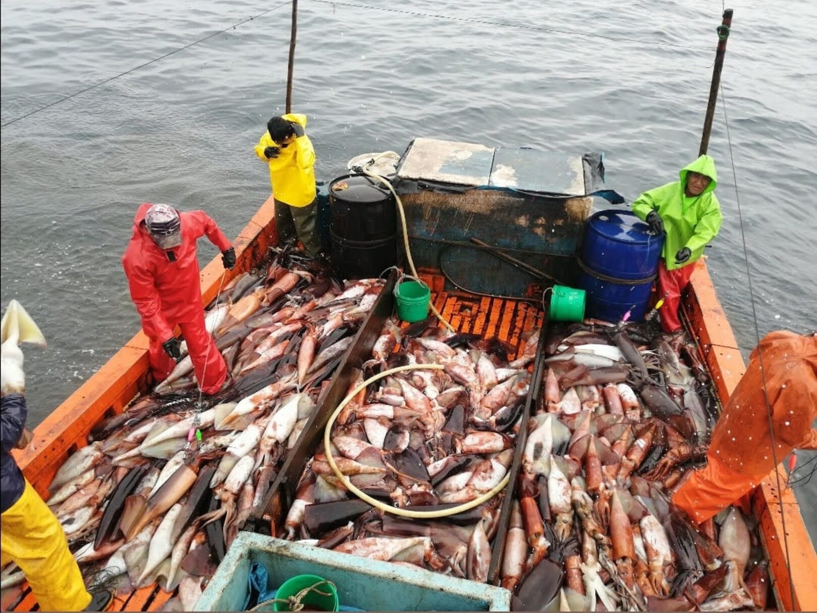 "J'ai été amputé en Indonésie" : sur les bateaux chinois, l'enfer de la  pêche au calamar - La Libre