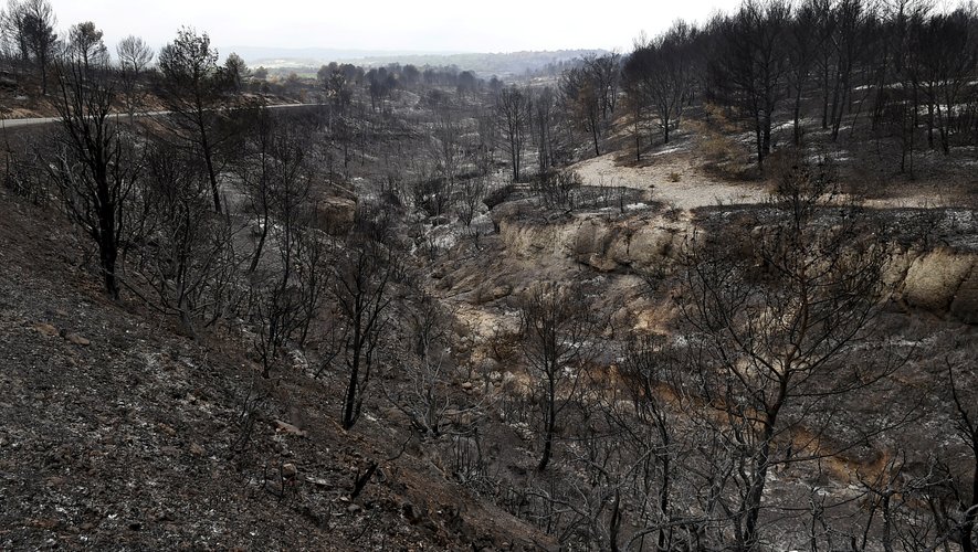 Incendie du siècle dans l'Aude : l'agent de l'ONF mis en examen pour avoir  mis le feu involontairement et placé sous contrôle judiciaire - midilibre.fr