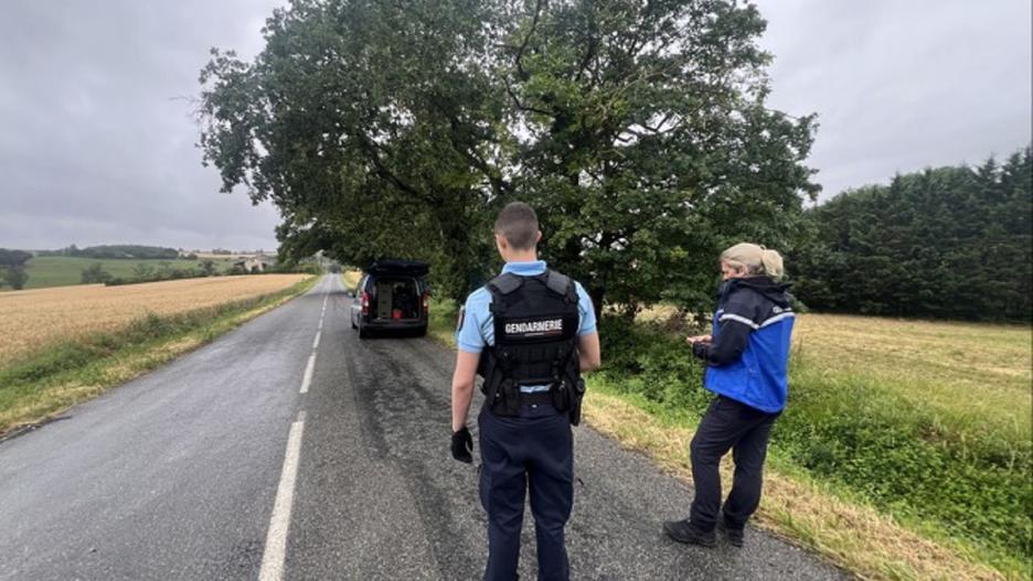 Disparition dans le Gers : le corps retrouvé est celui d'un enfant «porteur  de vêtements similaires» à ceux de Lyhanna