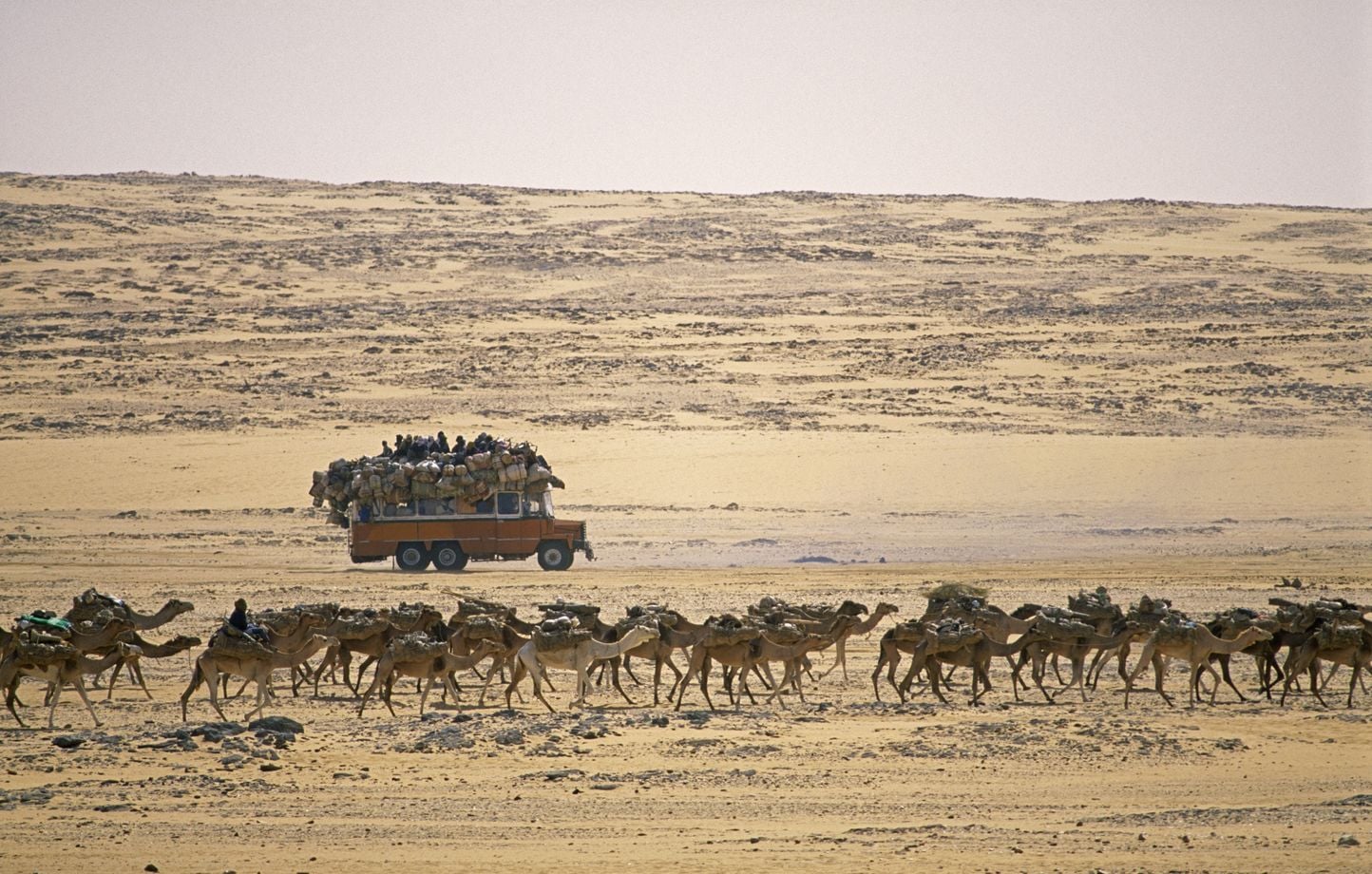 Niger : 49 personnes meurent de soif dans le désert à cause d'une panne de  camion