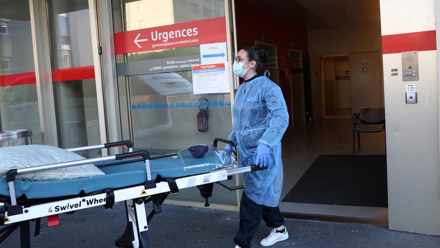 Hantavirus : fin de l'isolement pour les 22 cas contacts français, ils vont  pouvoir rentrer chez eux ce samedi - lindependant.fr