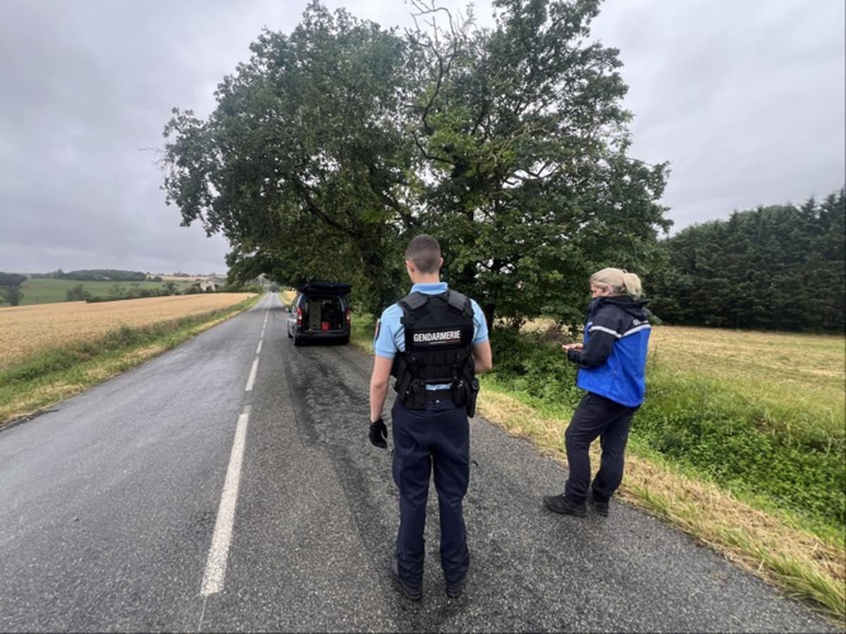 Disparition dans le Gers : le corps retrouvé est celui d'un enfant «porteur  de vêtements similaires» à ceux de Lyhanna