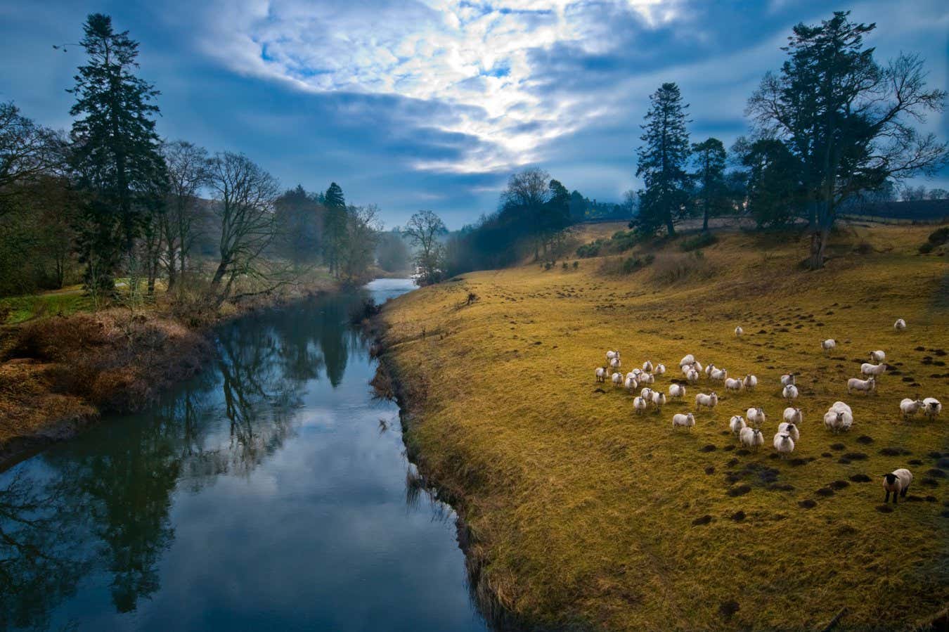 Farming destroyed UK rivers to meet food demand – here's how we fix it |  New Scientist