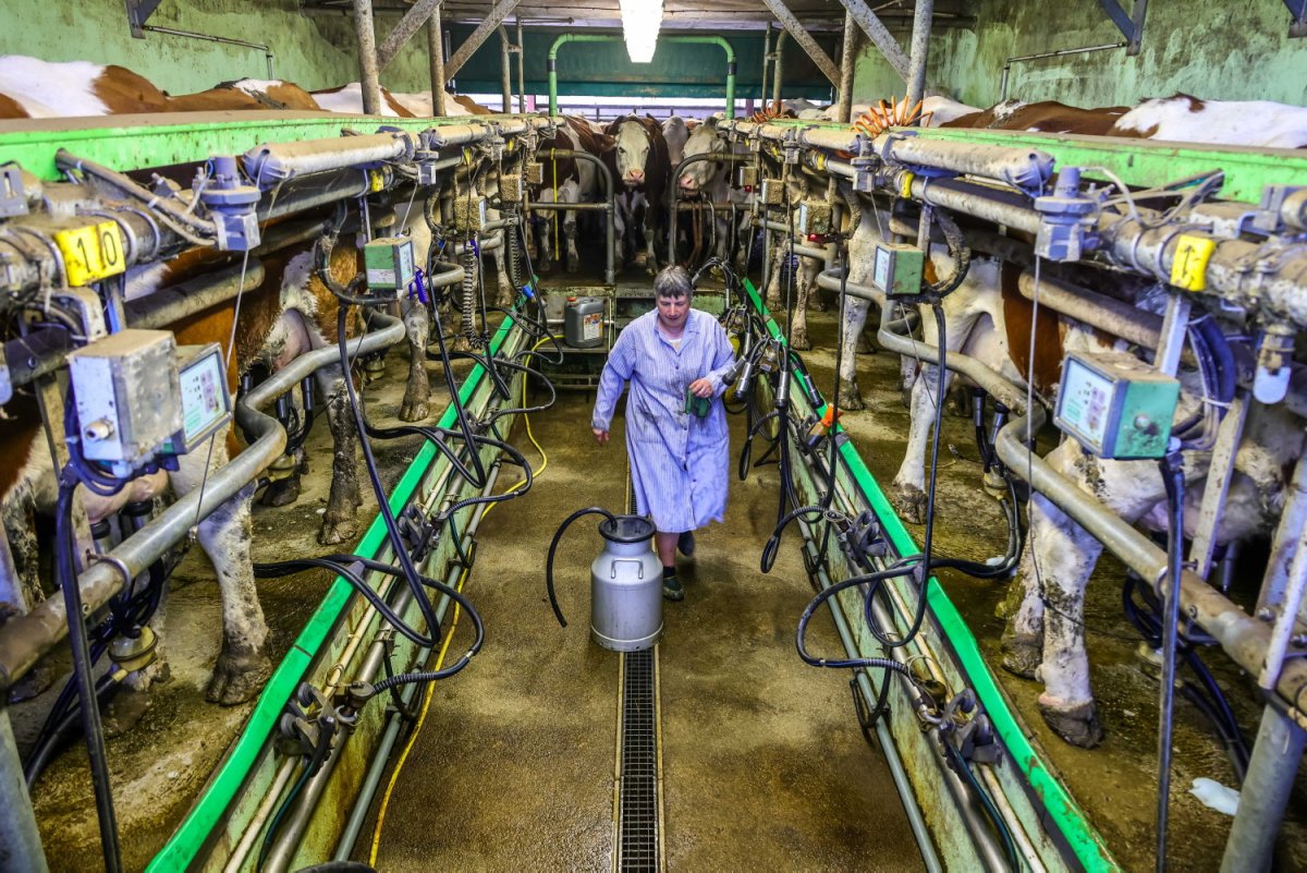 Retraites : une loi pour « augmenter les pensions de 200 000 agricultrices  » - L'Humanité