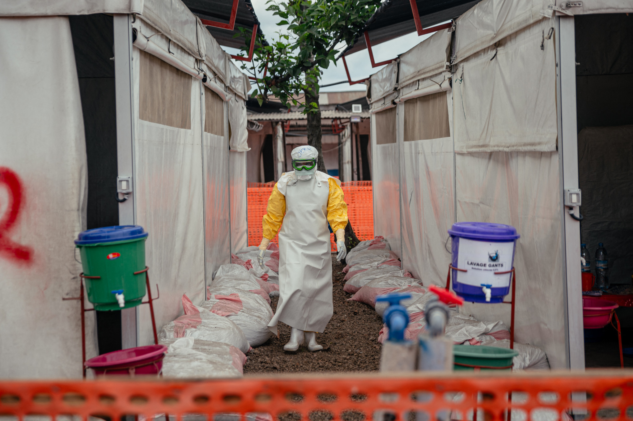 Ebola: l'OMS lance un plan de 518 millions contre l'épidémie